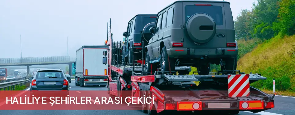 Haliliye İlçemi Şehirler Arası Çekici